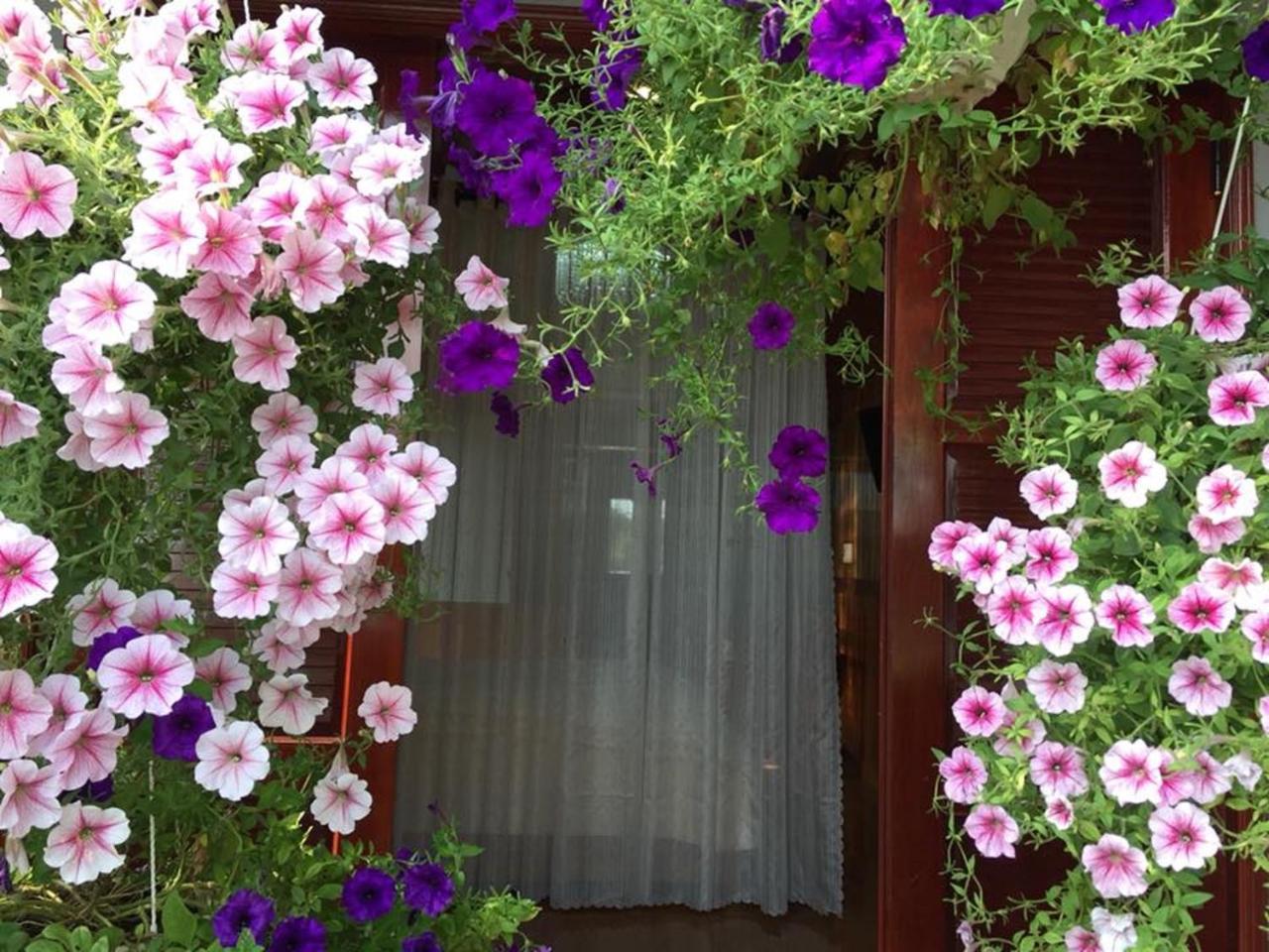 Khamy Riverside Villa ฮอยอัน ภายนอก รูปภาพ
